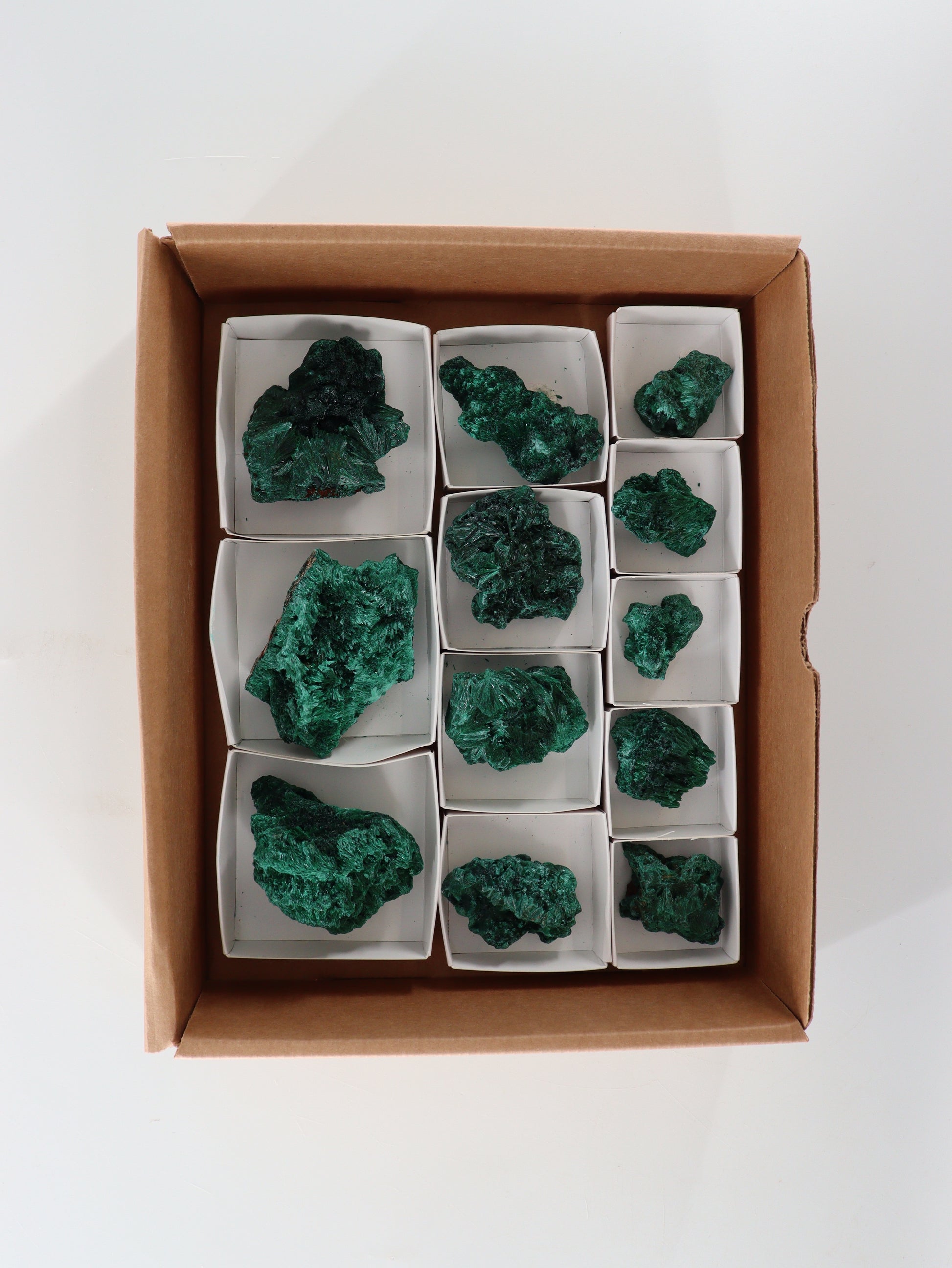 Malachite Flat - Expert Supplier of Wholesale Crystals & Bulk Gemstones