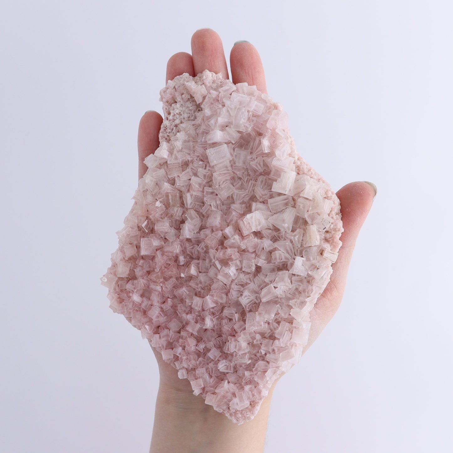 Pink Halite Set of 6