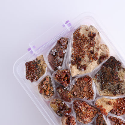 Vanadinite on Barite Flat from Morocco - Expert Wholesale and Supplier of Wholesale Crystals & Bulk Gemstones, ["Barite","Flats","Morocco","Vanadinite","Vanadinite Barite"]