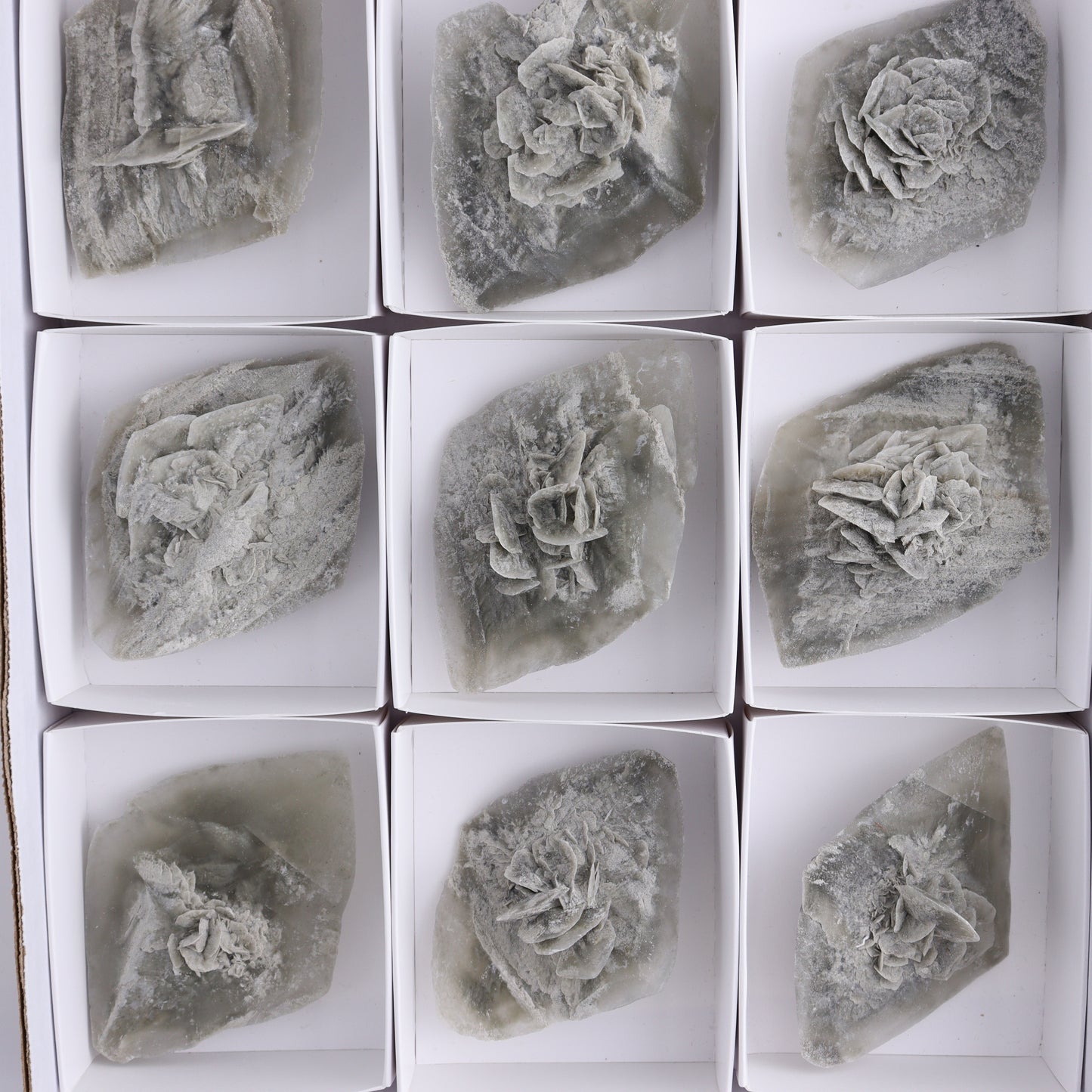 Selenite Clusters Set of 12
