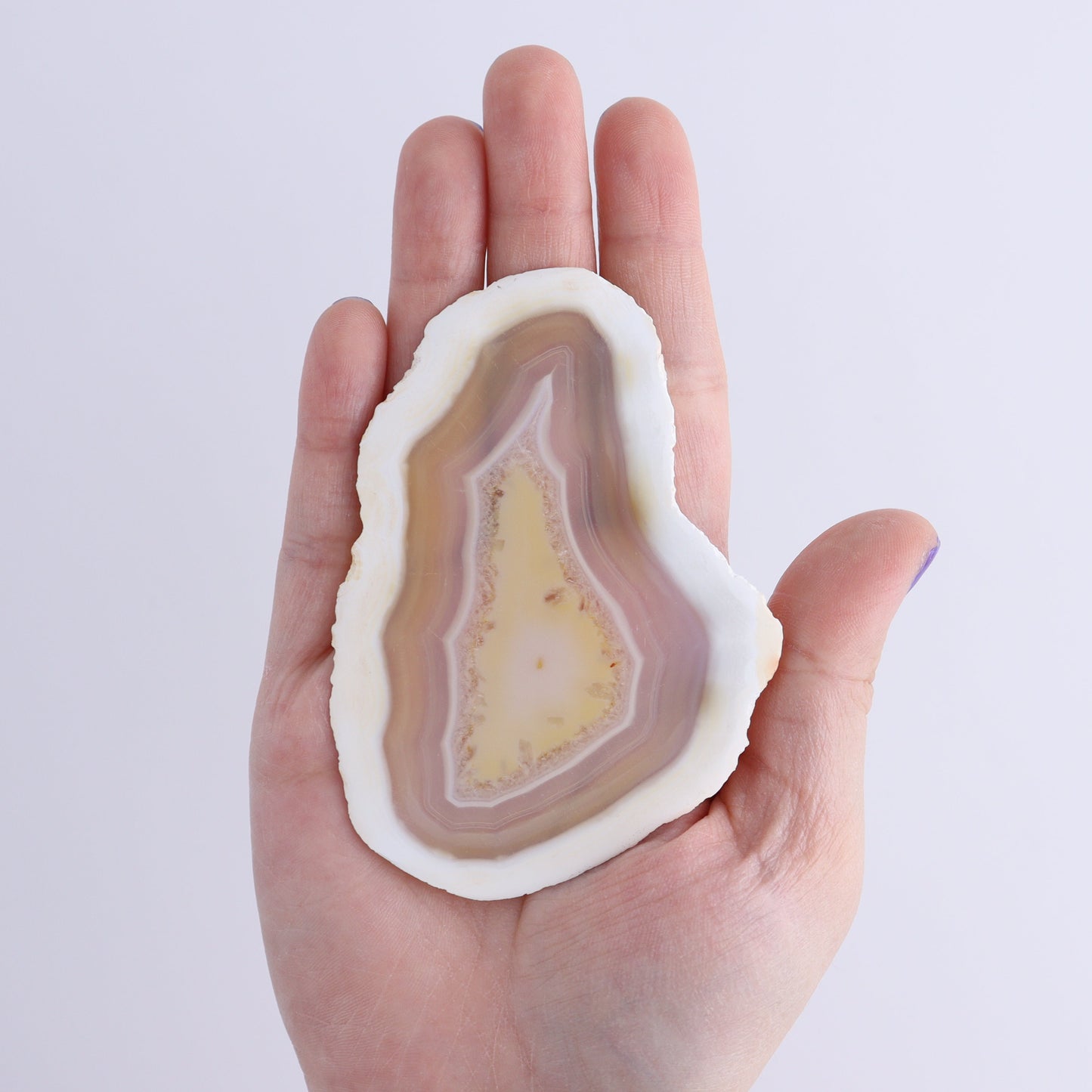 Iris Agate Slices Set of 6 - Expert Wholesale and Supplier of Wholesale Crystals & Bulk Gemstones, ["Agate","Iris Agate","Slices and Slabs"]