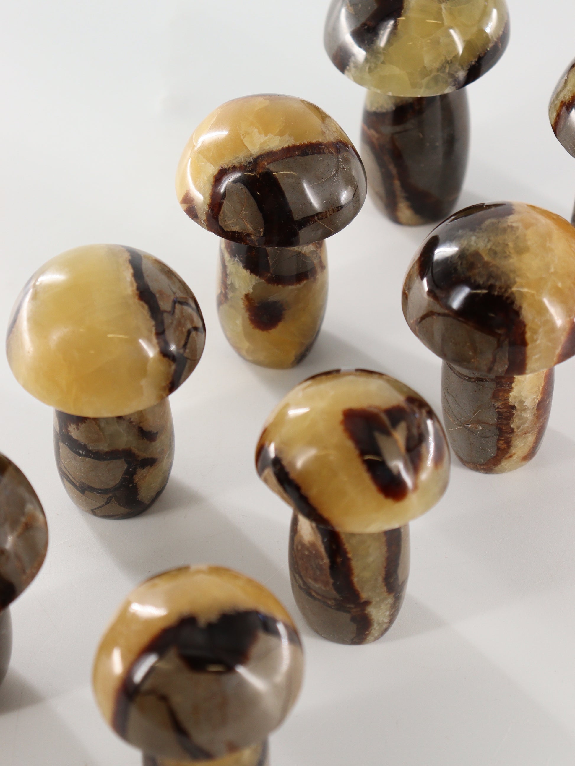 Septarian Mushrooms Set of 8 - Expert Wholesale and Supplier of Wholesale Crystals & Bulk Gemstones, []
