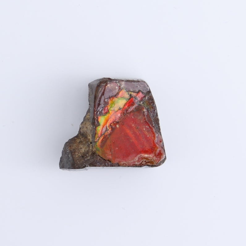 Ammolite Rough Set of 3