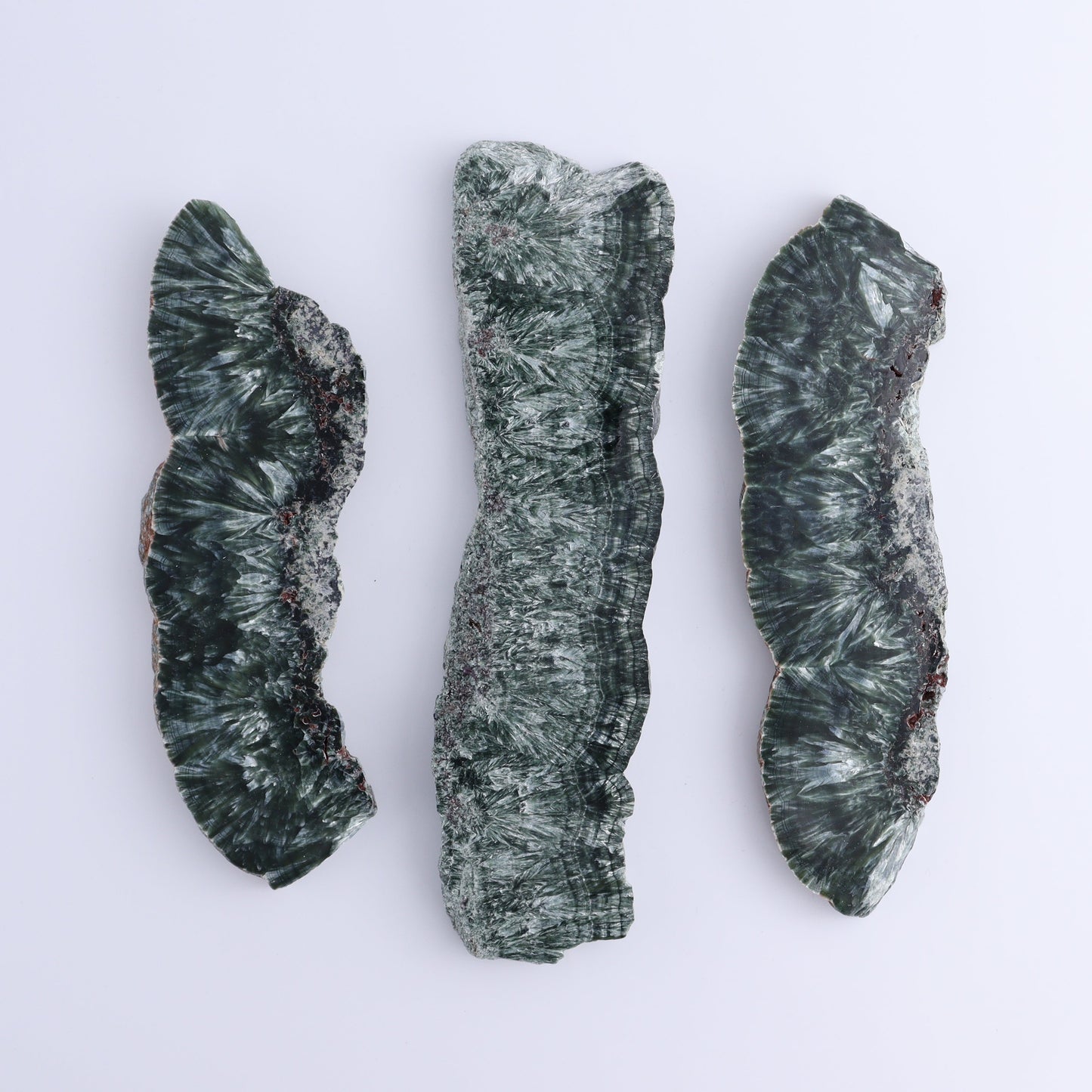 Seraphinite Slices Set of 3 - Expert Wholesale and Supplier of Wholesale Crystals & Bulk Gemstones, ["Russia","Seraphinite","Slices and Slabs"]