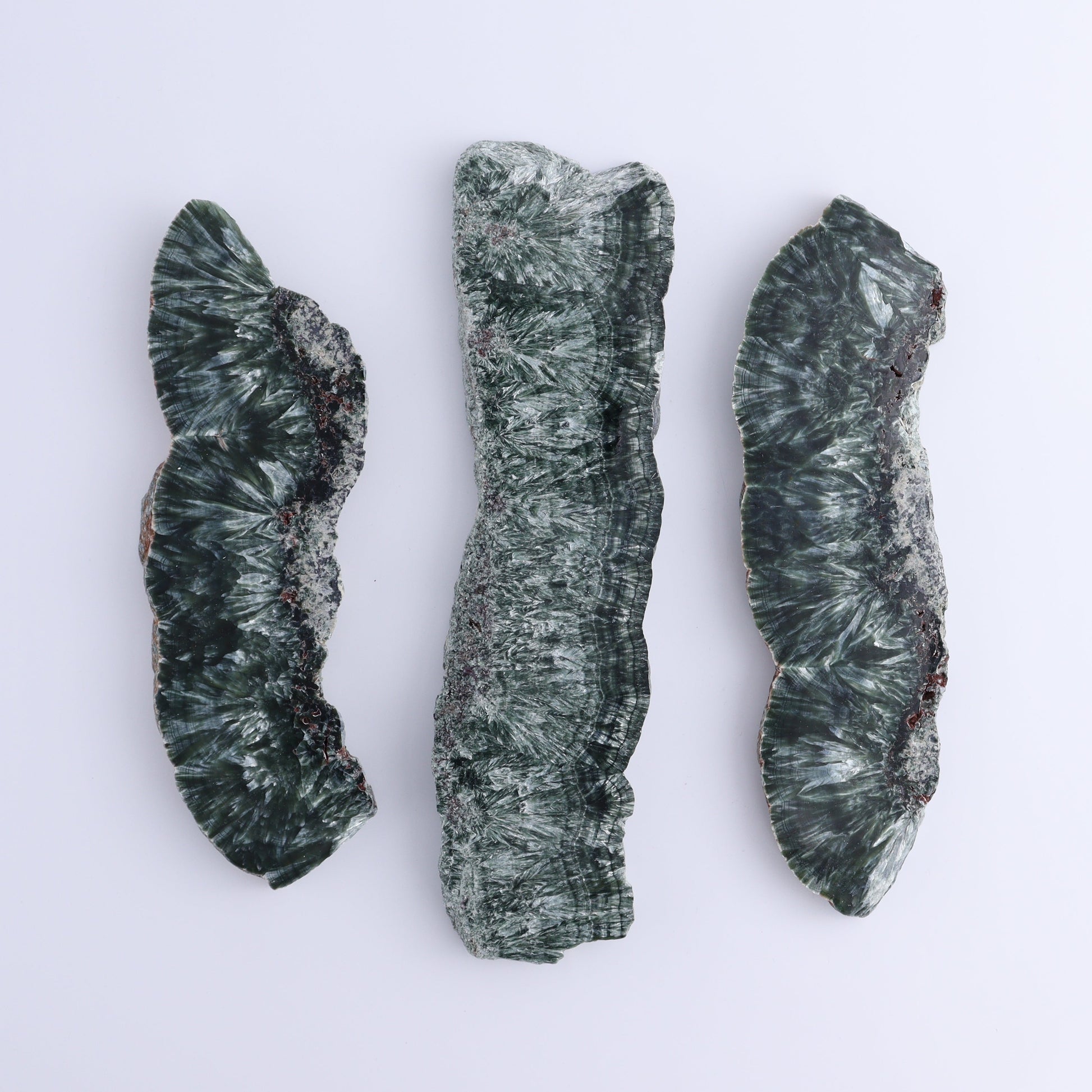 Seraphinite Slices Set of 3 - Expert Wholesale and Supplier of Wholesale Crystals & Bulk Gemstones, ["Russia","Seraphinite","Slices and Slabs"]