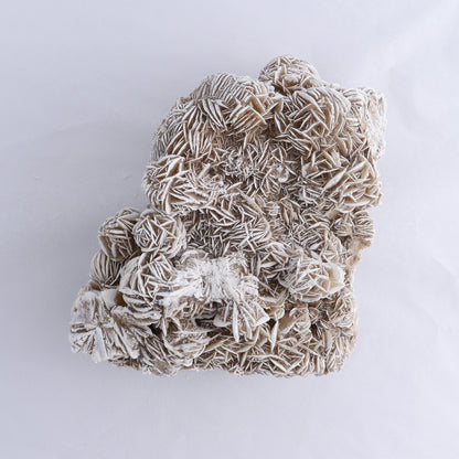 Desert Rose Cluster - Expert Wholesale and Supplier of Wholesale Crystals & Bulk Gemstones, ["Desert Rose","Freeforms"]
