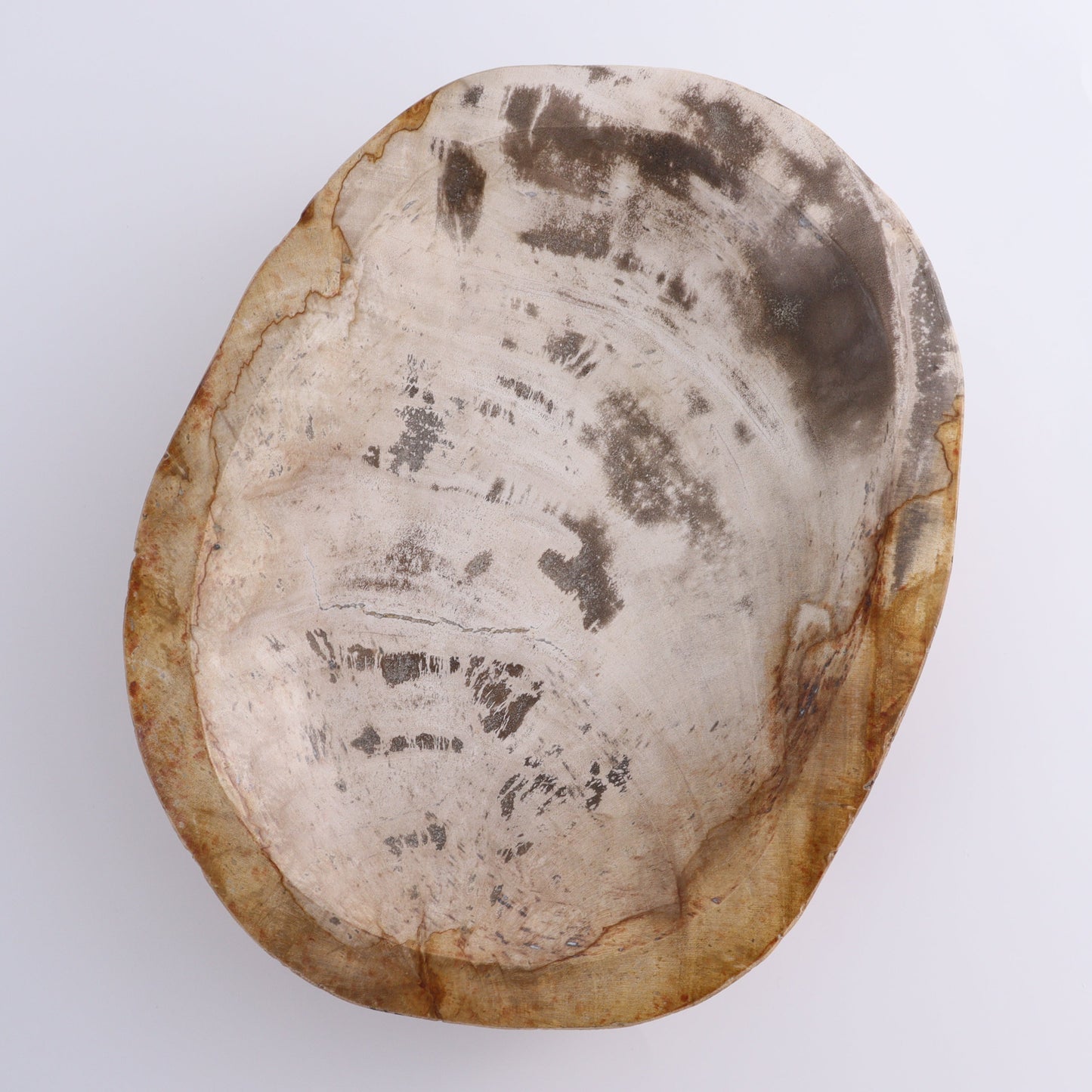 Petrified Wood Bowl - Expert Wholesale and Supplier of Wholesale Crystals & Bulk Gemstones, ["Bowls","Indonesia","Petrified Wood"]
