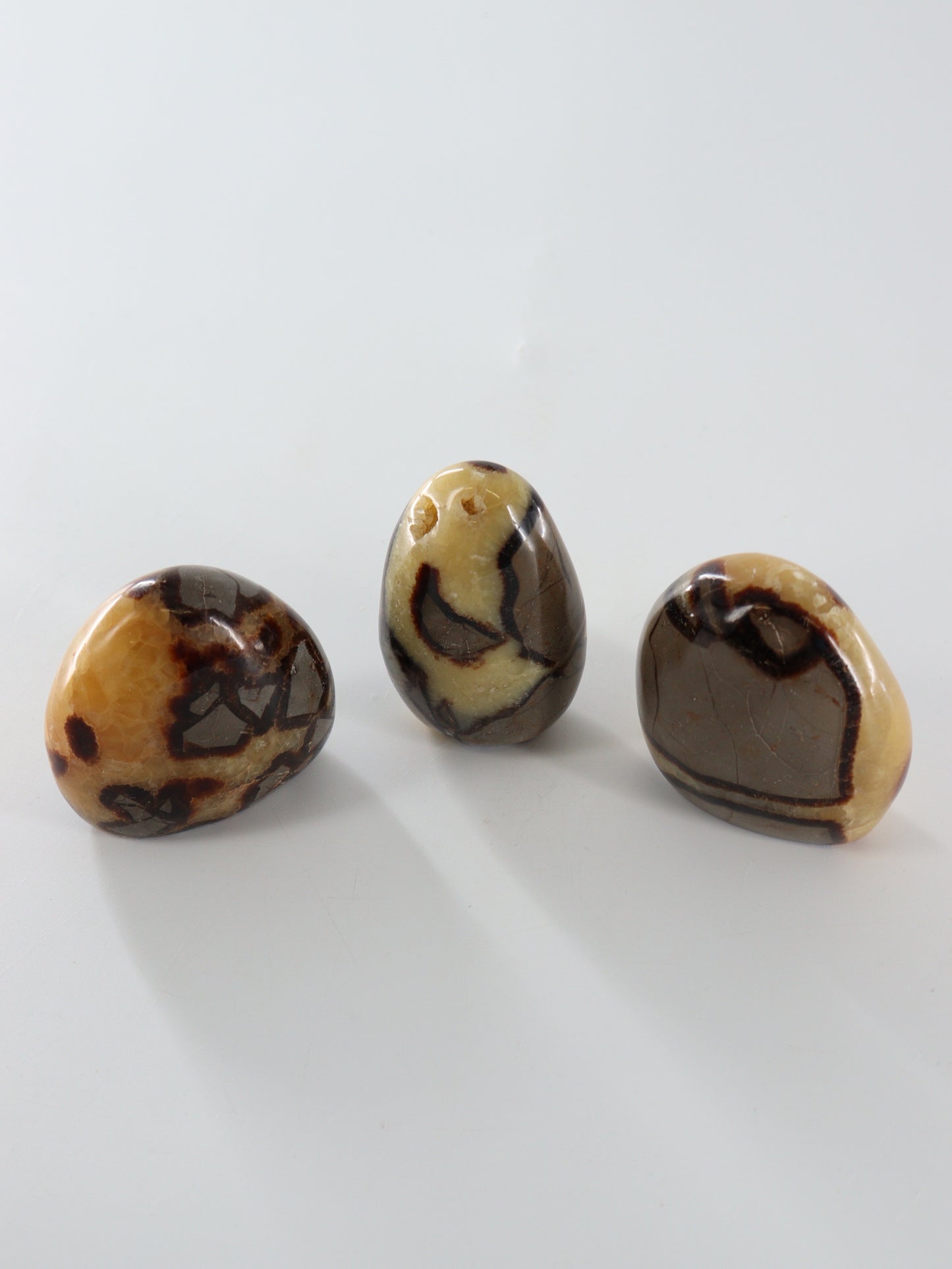 Septarian Freeforms Set of 12 - Expert Wholesale and Supplier of Wholesale Crystals & Bulk Gemstones, []