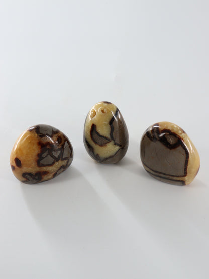 Septarian Freeforms Set of 12 - Expert Wholesale and Supplier of Wholesale Crystals & Bulk Gemstones, []