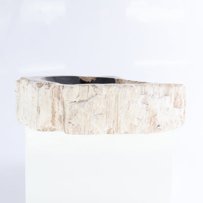 Petrified Wood Bowls Set of 2 - Expert Wholesale and Supplier of Wholesale Crystals & Bulk Gemstones, ["Bowls","Indonesia","Petrified Wood"]