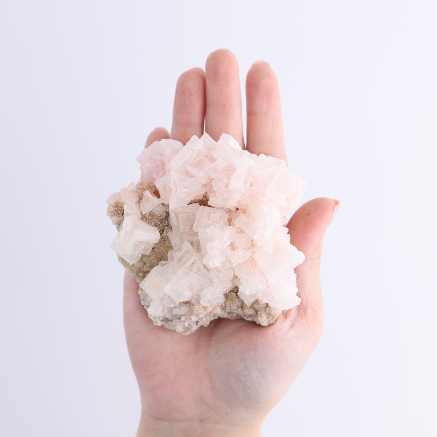 Searles Lake Halite Flat of 12 - Expert Wholesale and Supplier of Wholesale Crystals & Bulk Gemstones, ["close_30","Halite","Pink Halite","United States"]