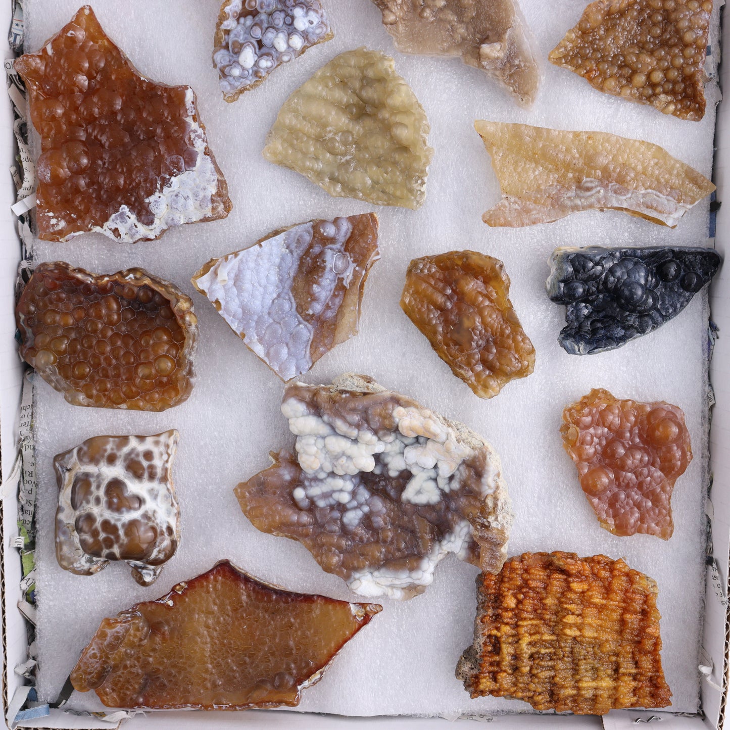 Agatized Coral Flat - Expert Wholesale and Supplier of Wholesale Crystals & Bulk Gemstones, ["Agate","Agatized Coral","Coral","United States"]