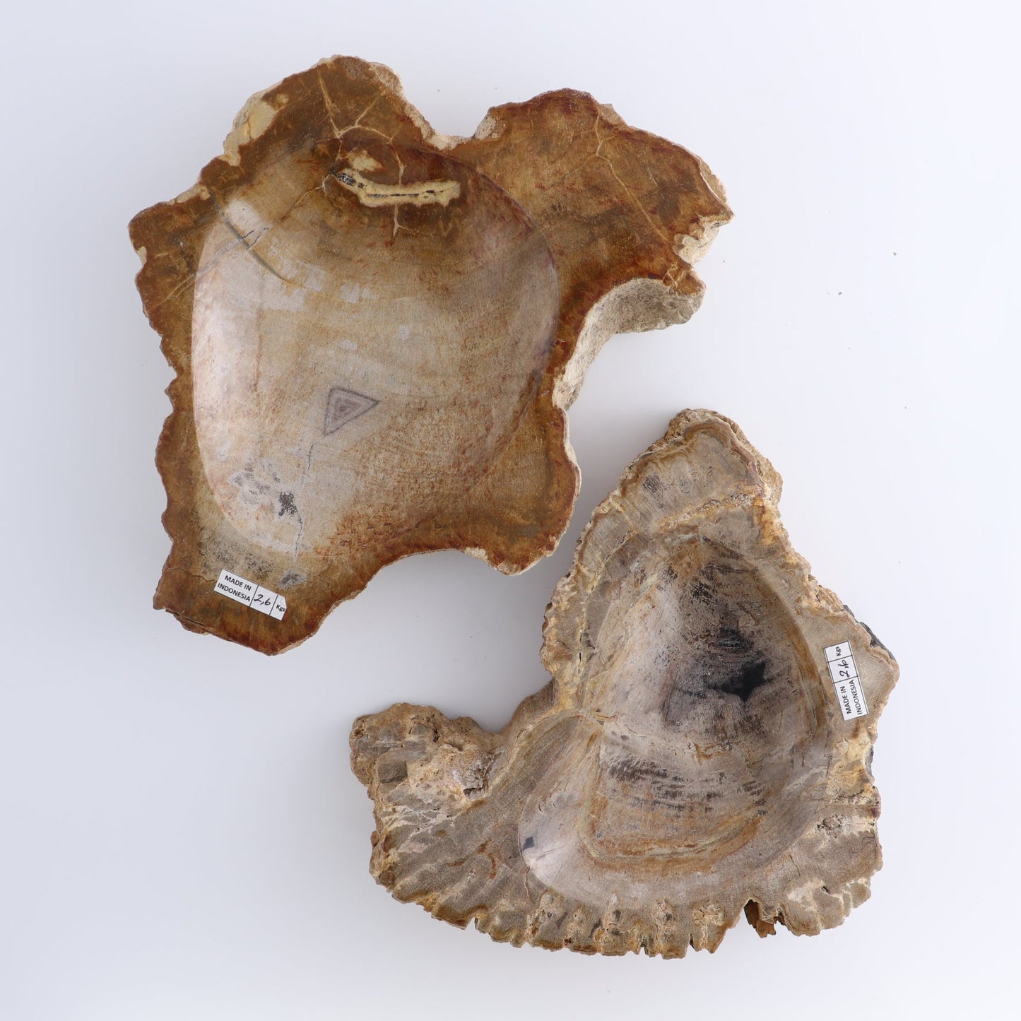 One Petrified Wood Brown Rough Bowl