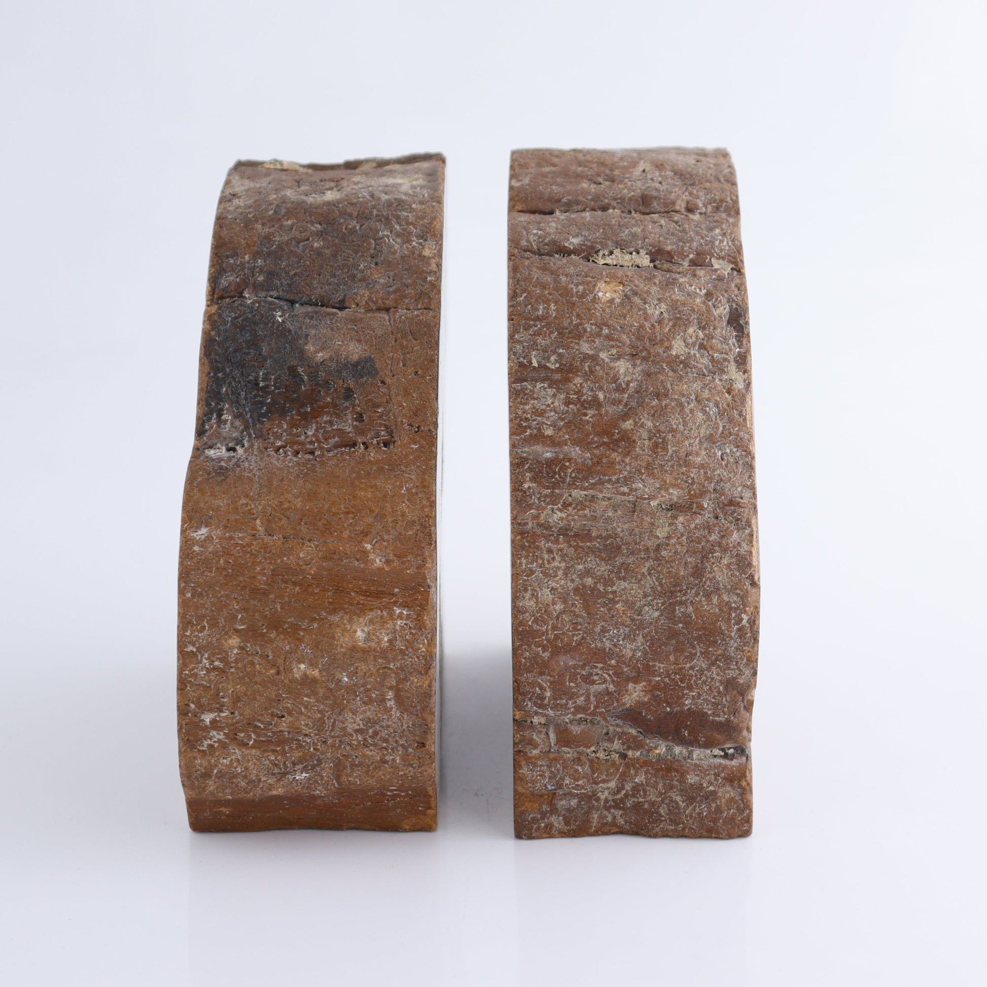 Bookends Petrified Wood - Expert Wholesale and Supplier of Wholesale Crystals & Bulk Gemstones, ["Bookends","Indonesia","Petrified Wood"]