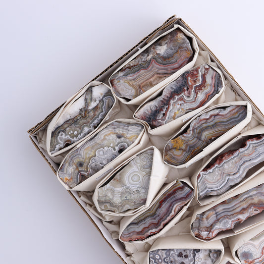 Crazy Lace Agate Flat of 12 - Expert Wholesale and Supplier of Wholesale Crystals & Bulk Gemstones, ["Crazy Lace Agate","Mexico"]
