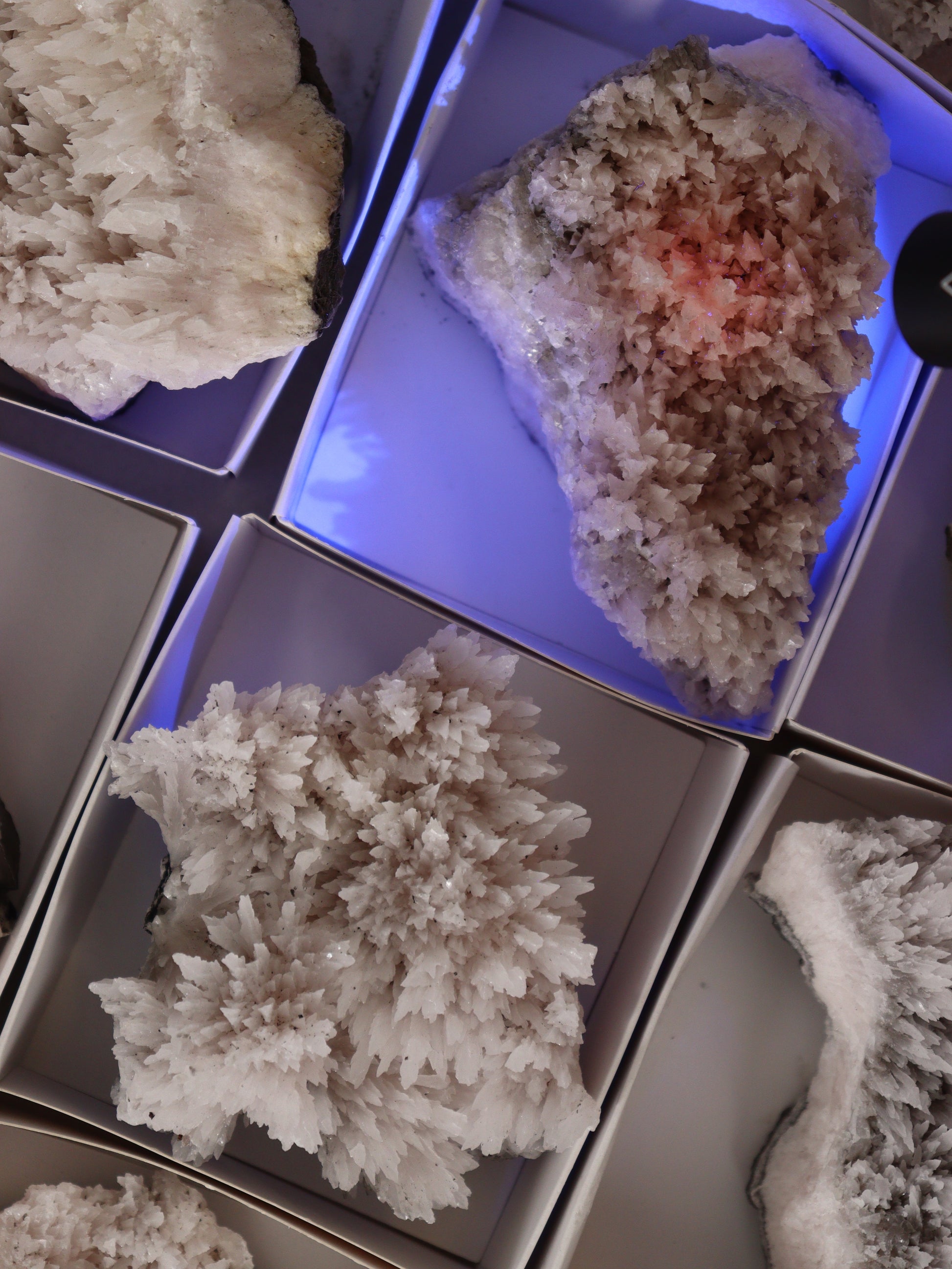 Mangano Calcite Flat Set of 12 - Expert Wholesale and Supplier of Wholesale Crystals & Bulk Gemstones, []