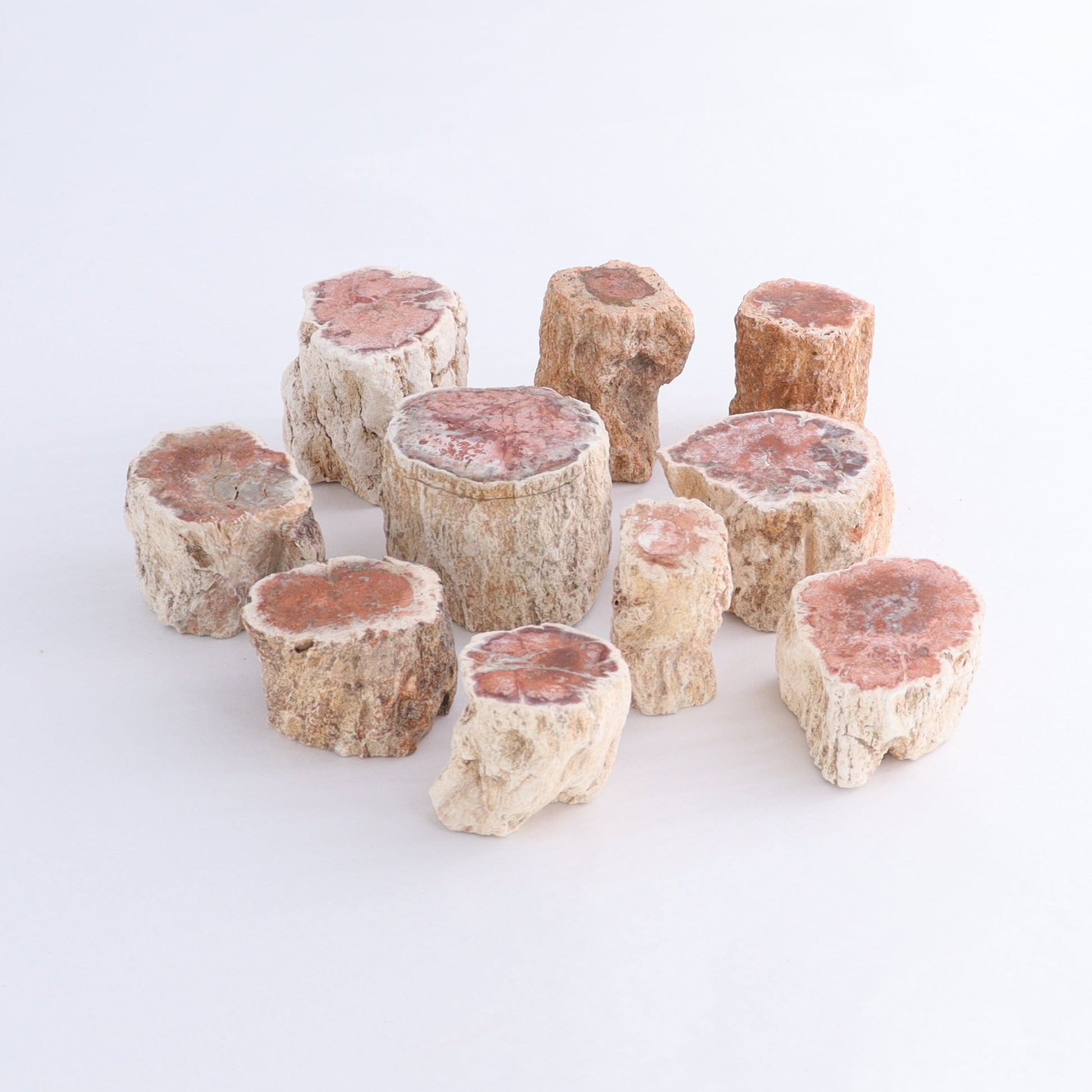 Petrified Wood Cut Bases Set of 10 - Expert Wholesale and Supplier of Wholesale Crystals & Bulk Gemstones, ["Cut Base","Petrified Wood"]