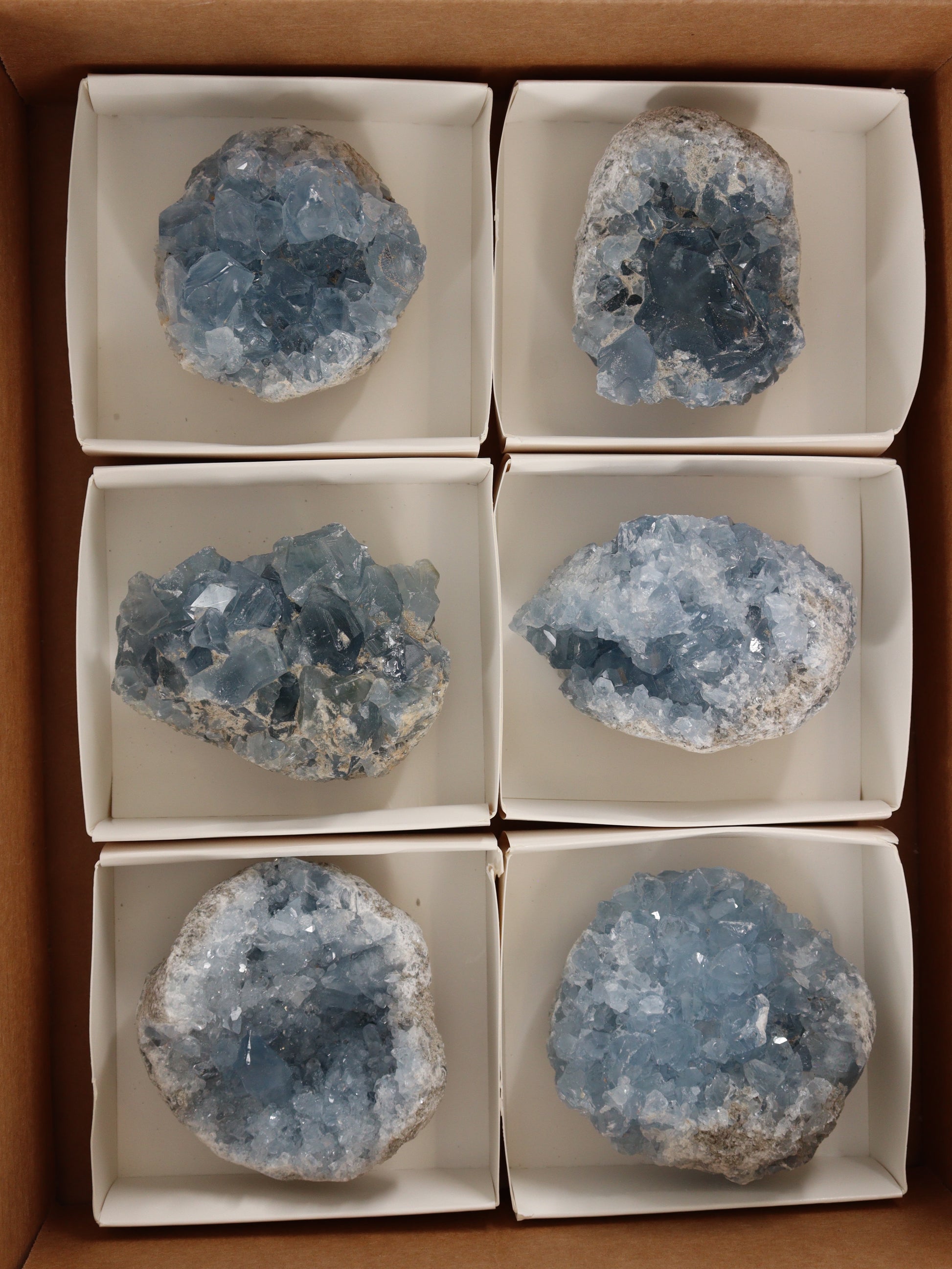 Celestite Clusters Set of 6 - Expert Wholesale and Supplier of Wholesale Crystals & Bulk Gemstones, []