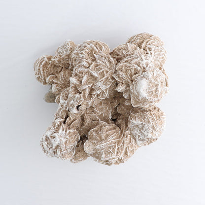 Desert Rose Set of 2