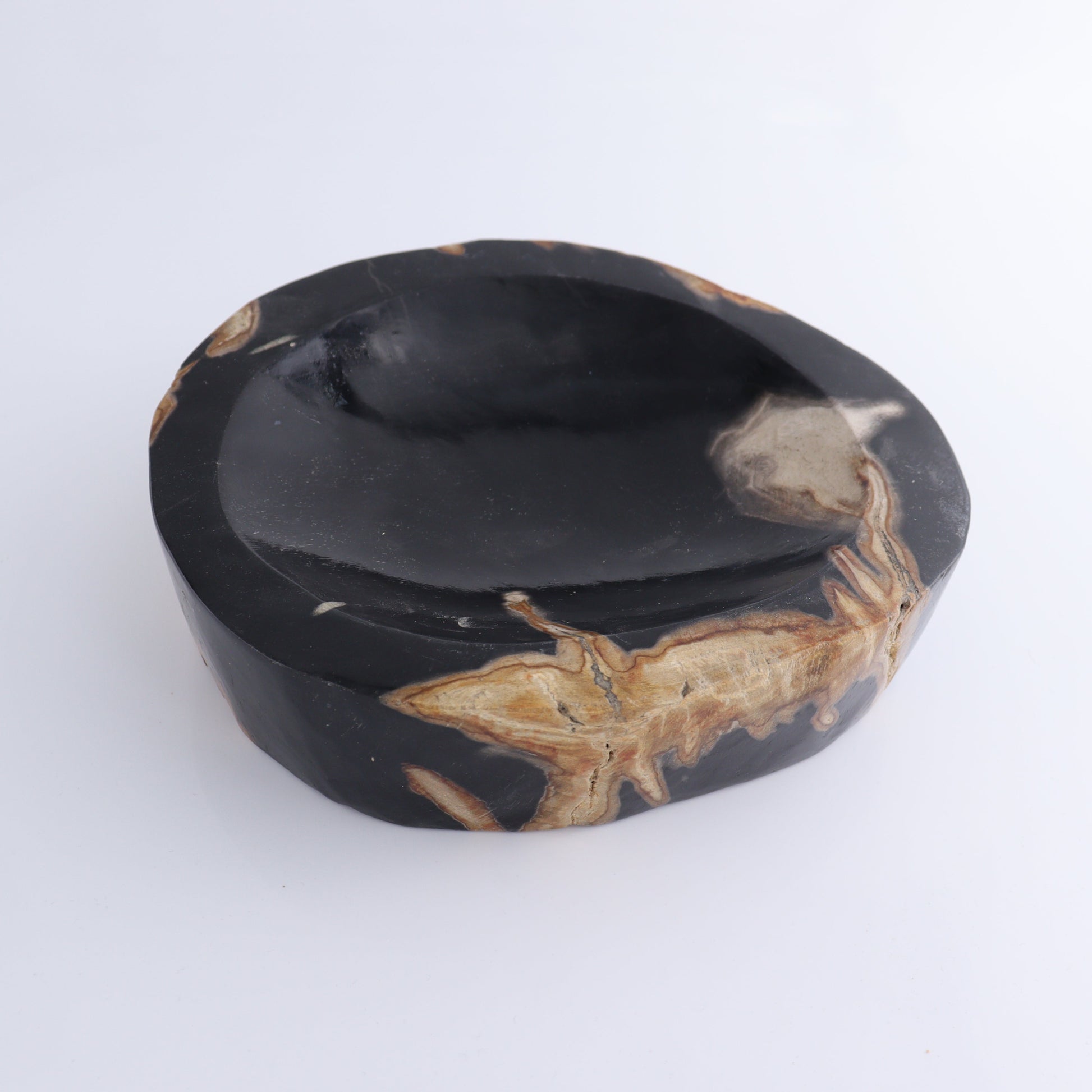 Bowl Petrified Wood - Expert Wholesale and Supplier of Wholesale Crystals & Bulk Gemstones, ["Bowls","Indonesia","Petrified Wood"]