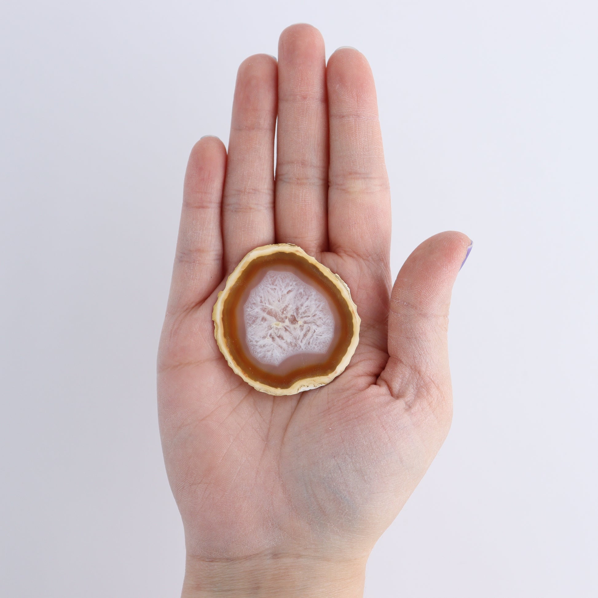 Iris Agate Slices Set of 6 - Expert Wholesale and Supplier of Wholesale Crystals & Bulk Gemstones, ["Agate","Iris Agate","Slices and Slabs"]