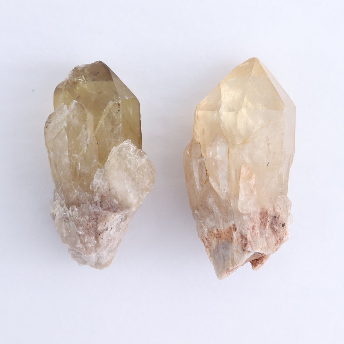 Congo Citrine Set of 12