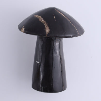 Petrified Wood Mushrooms Set of 3 - Expert Wholesale and Supplier of Wholesale Crystals & Bulk Gemstones, ["Indonesia","Mushrooms","Petrified Wood"]