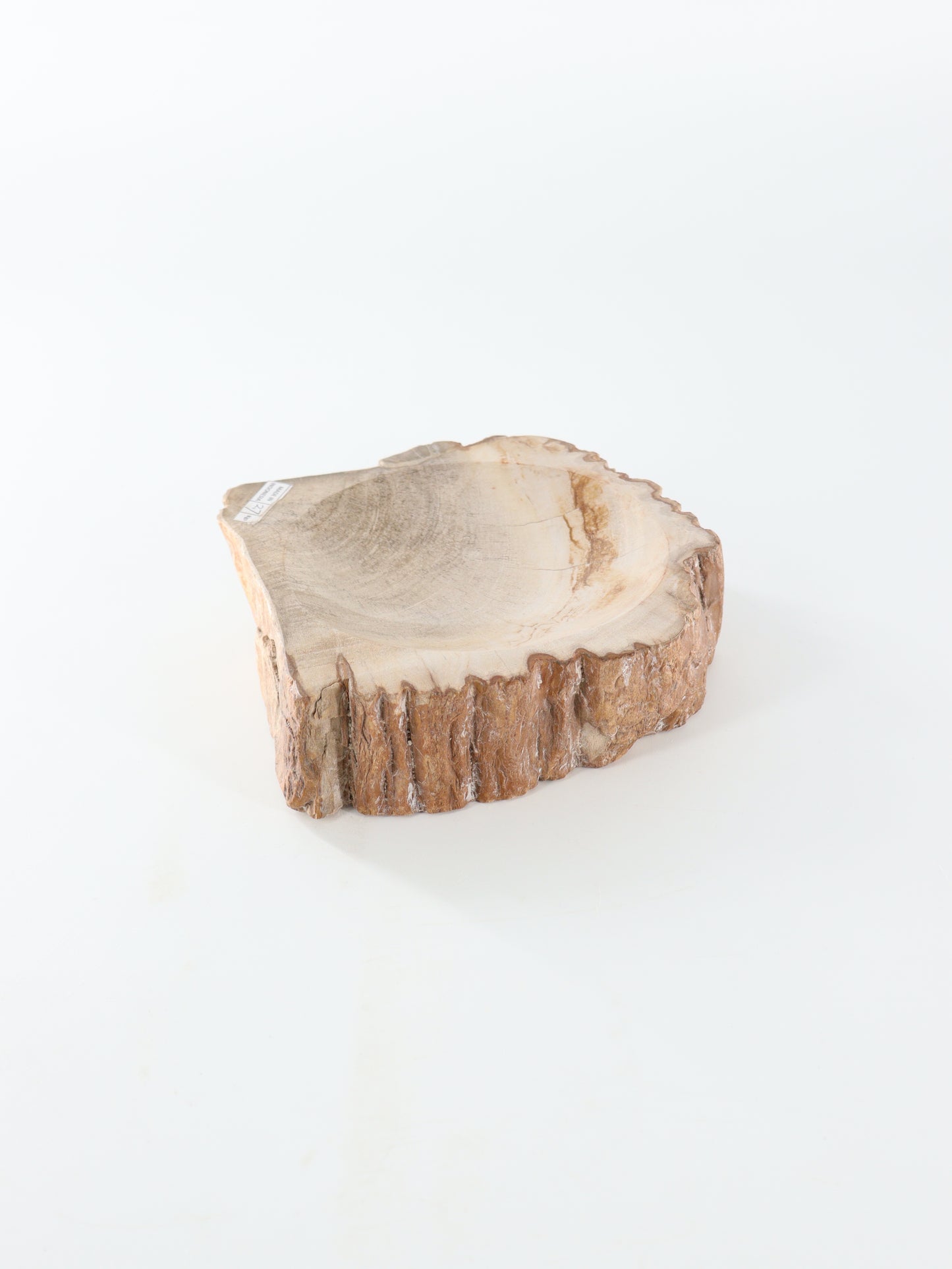 Petrified Wood Bowl - Expert Wholesale and Supplier of Wholesale Crystals & Bulk Gemstones, []