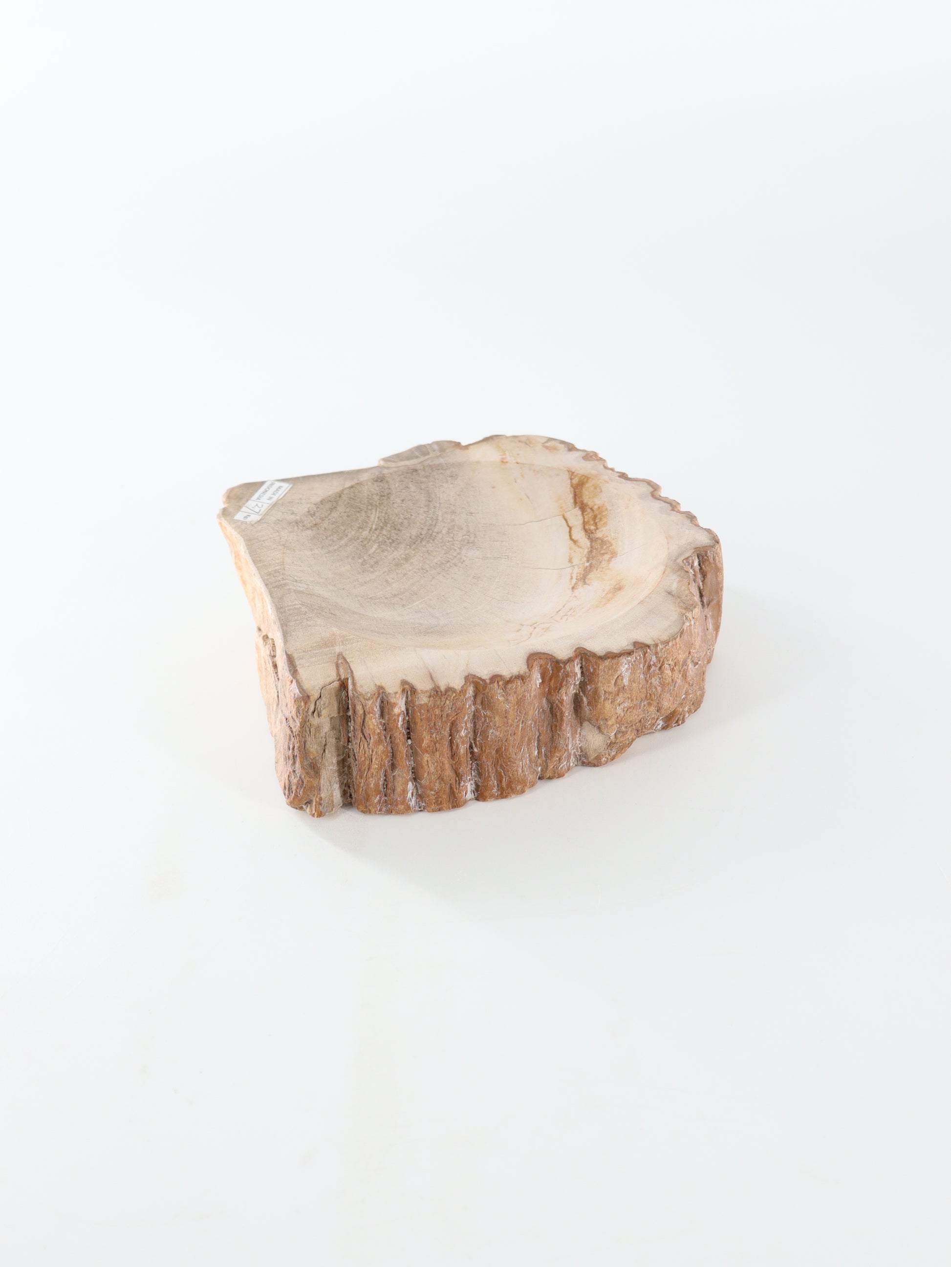 Petrified Wood Bowl - Expert Wholesale and Supplier of Wholesale Crystals & Bulk Gemstones, []