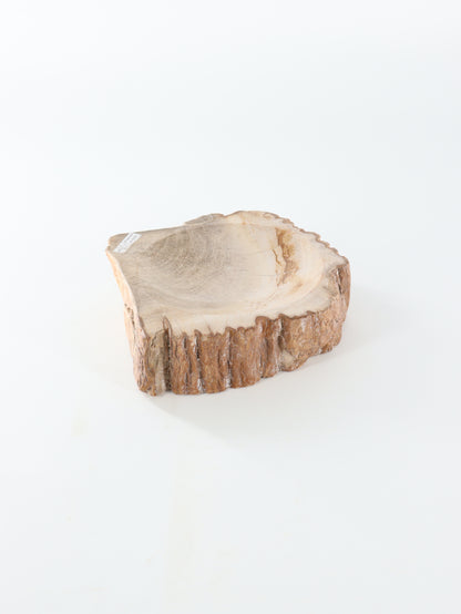 Petrified Wood Bowl - Expert Wholesale and Supplier of Wholesale Crystals & Bulk Gemstones, []