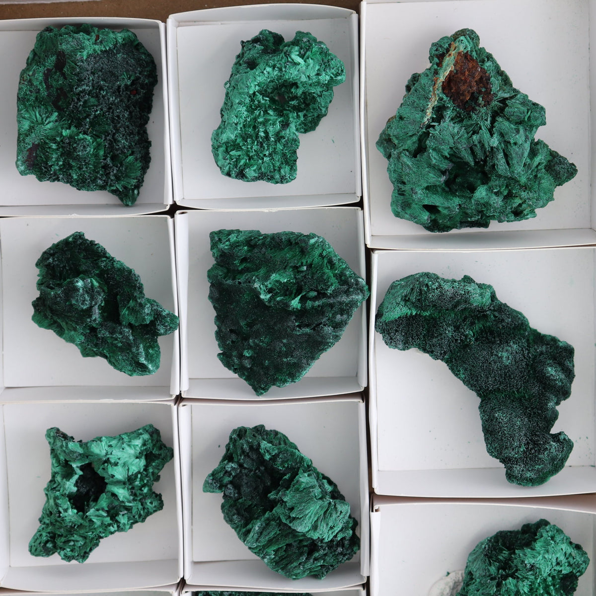 Malachite Freeforms Set of 9 - wholesale crystals