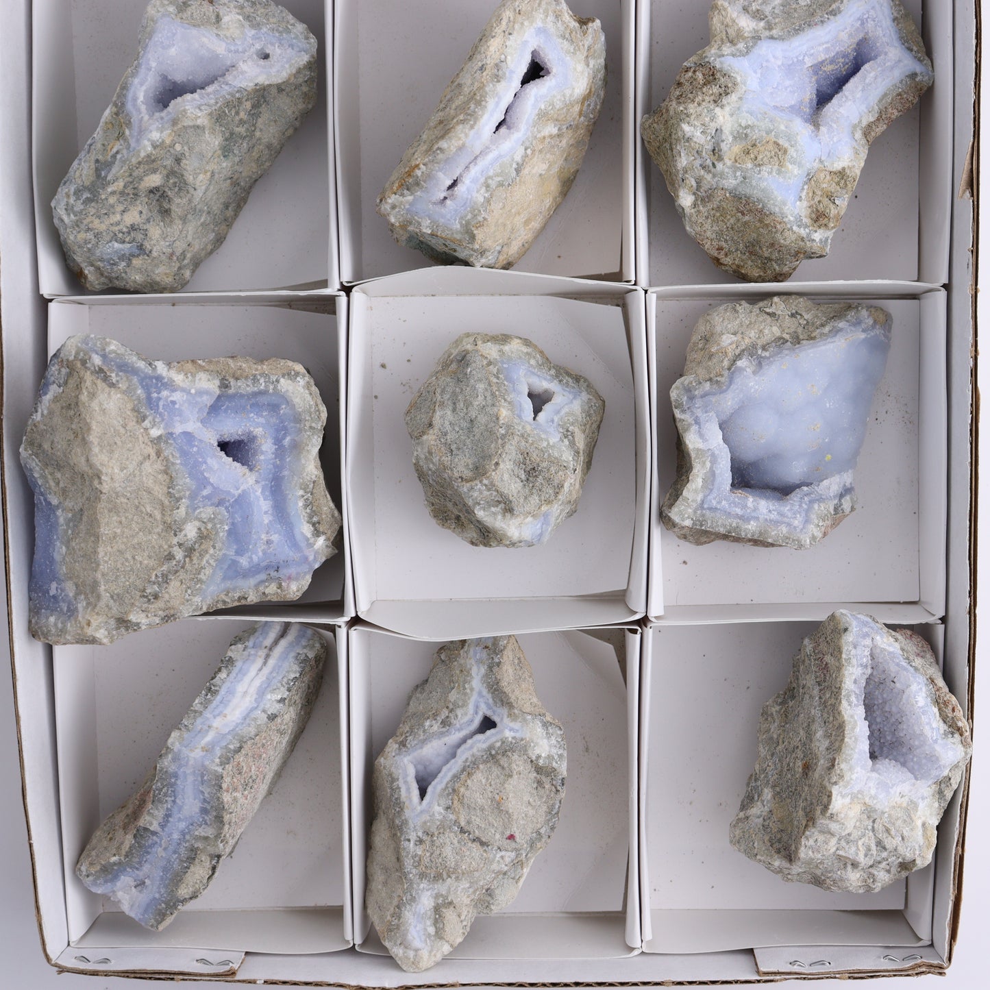 Blue Lace Agate Freeforms Set of 12