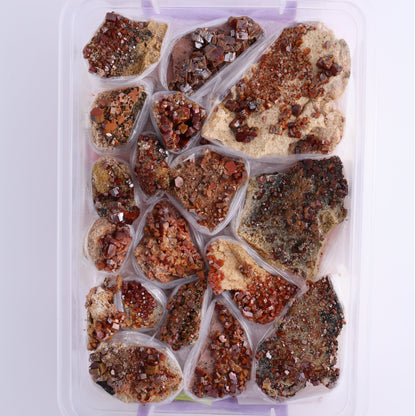 Vanadinite on Barite Flat from Morocco - Expert Wholesale and Supplier of Wholesale Crystals & Bulk Gemstones, ["Barite","Flats","Morocco","Vanadinite","Vanadinite Barite"]