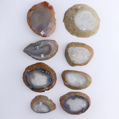 Agate Slices Set of 8 - Expert Wholesale and Supplier of Wholesale Crystals & Bulk Gemstones, ["Agate","Brazil","Slices and Slabs"]