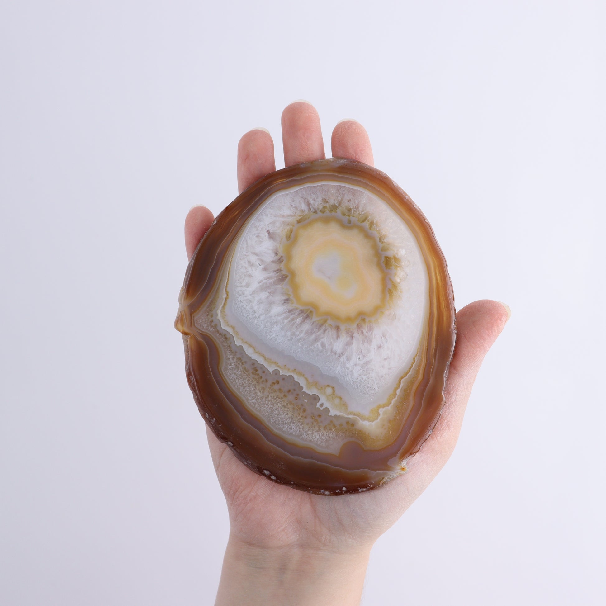 Agate Slices Set of 8 - Expert Wholesale and Supplier of Wholesale Crystals & Bulk Gemstones, ["Agate","Slices and Slabs"]