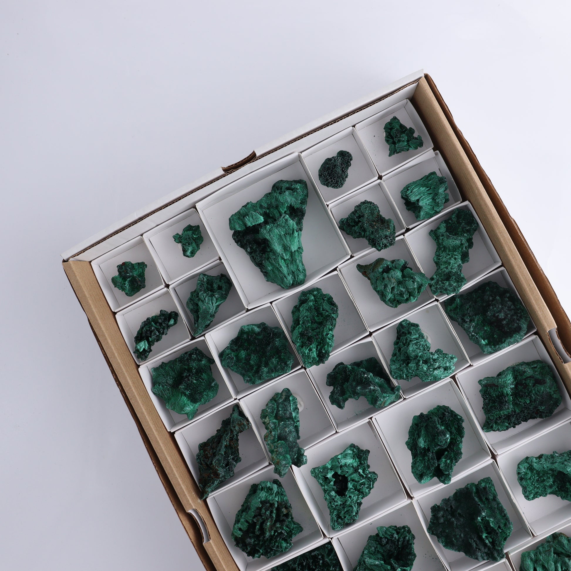 Malachite Flat of 30 - Expert Wholesale and Supplier of Wholesale Crystals & Bulk Gemstones, ["Congo","Flats","Malachite"]