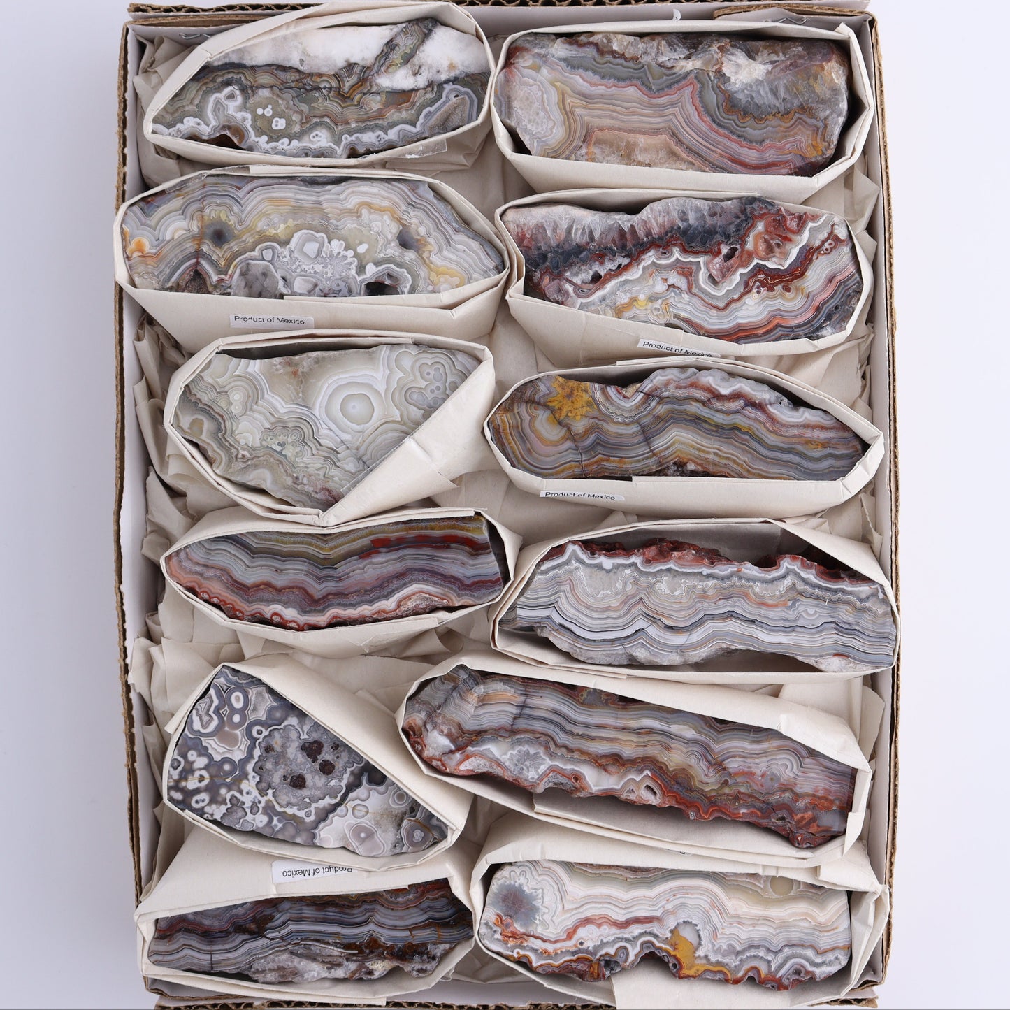 Crazy Lace Agate Flat of 12 - Expert Wholesale and Supplier of Wholesale Crystals & Bulk Gemstones, ["Crazy Lace Agate","Mexico"]