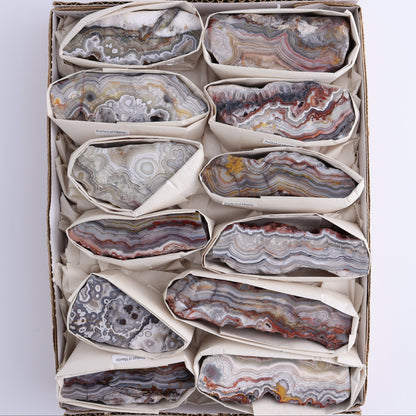 Crazy Lace Agate Flat of 12 - Expert Wholesale and Supplier of Wholesale Crystals & Bulk Gemstones, ["Crazy Lace Agate","Mexico"]