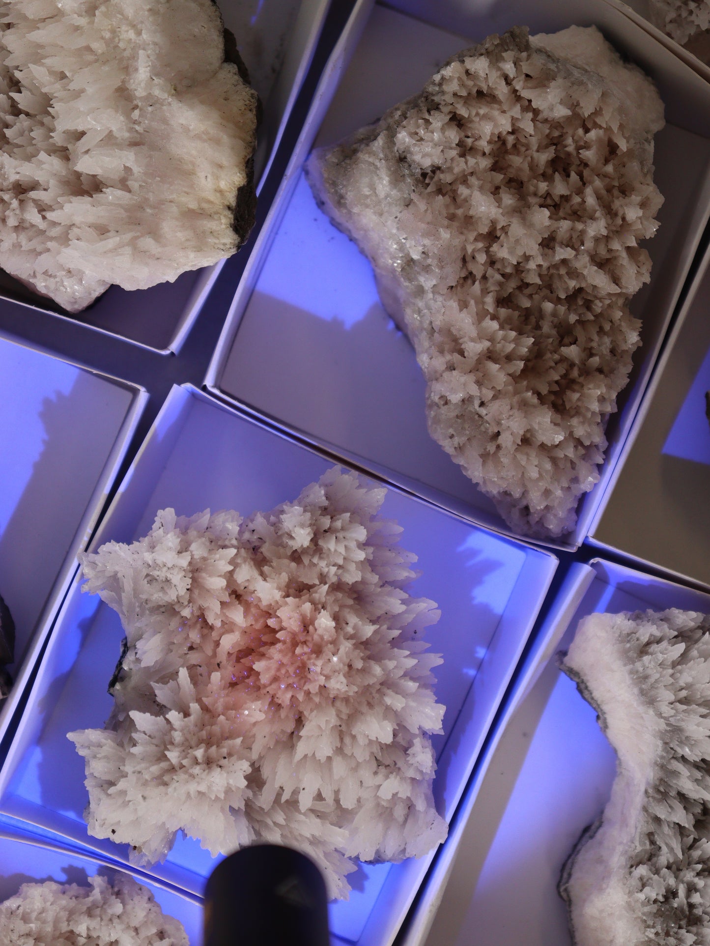 Mangano Calcite Flat Set of 12 - Expert Wholesale and Supplier of Wholesale Crystals & Bulk Gemstones, []