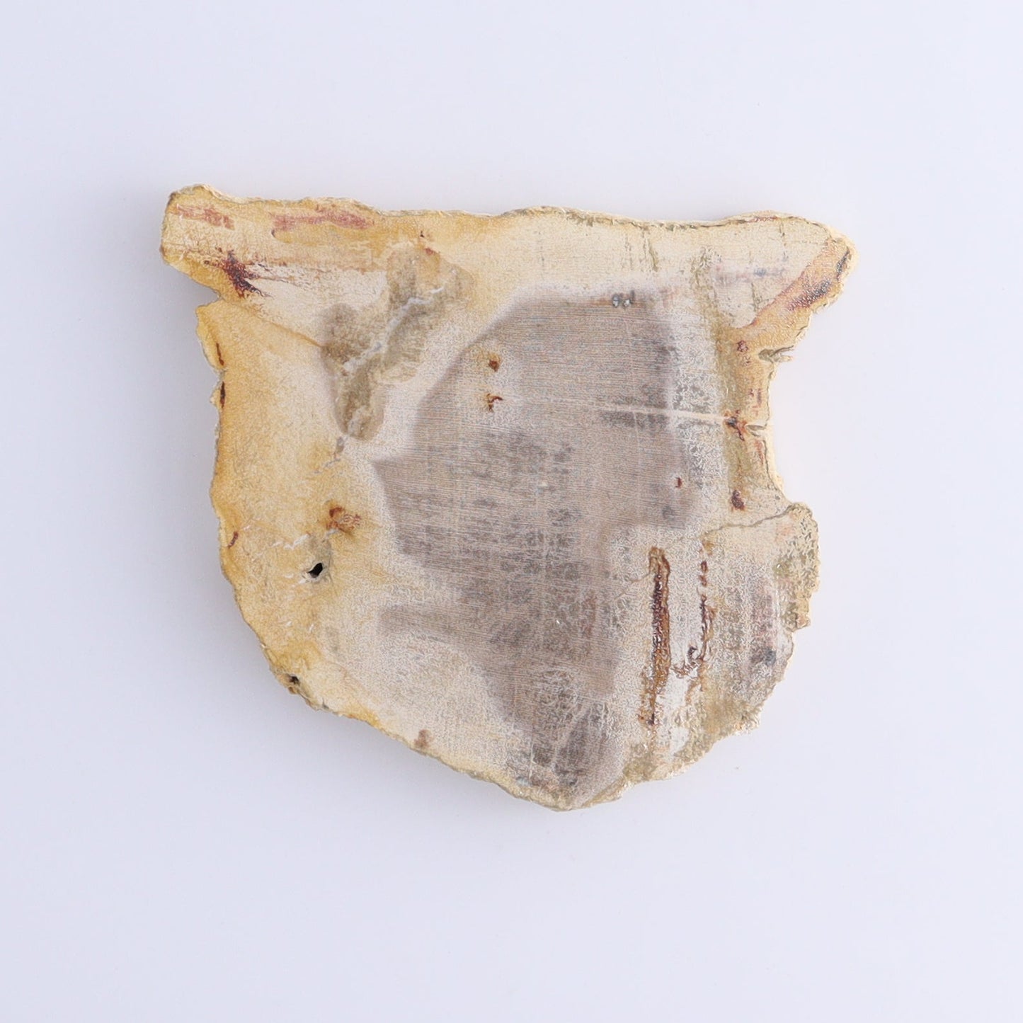 Petrified Wood Slices & Slabs Set of 5 - Expert Wholesale and Supplier of Wholesale Crystals & Bulk Gemstones, ["Freeforms","Indonesia","Petrified Wood","Slices and Slabs"]