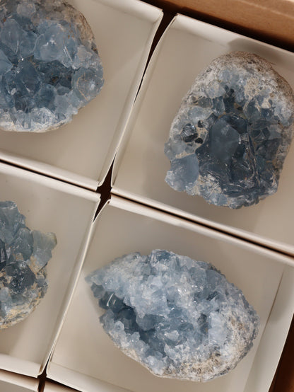 Celestite Clusters Set of 6 - Expert Wholesale and Supplier of Wholesale Crystals & Bulk Gemstones, []