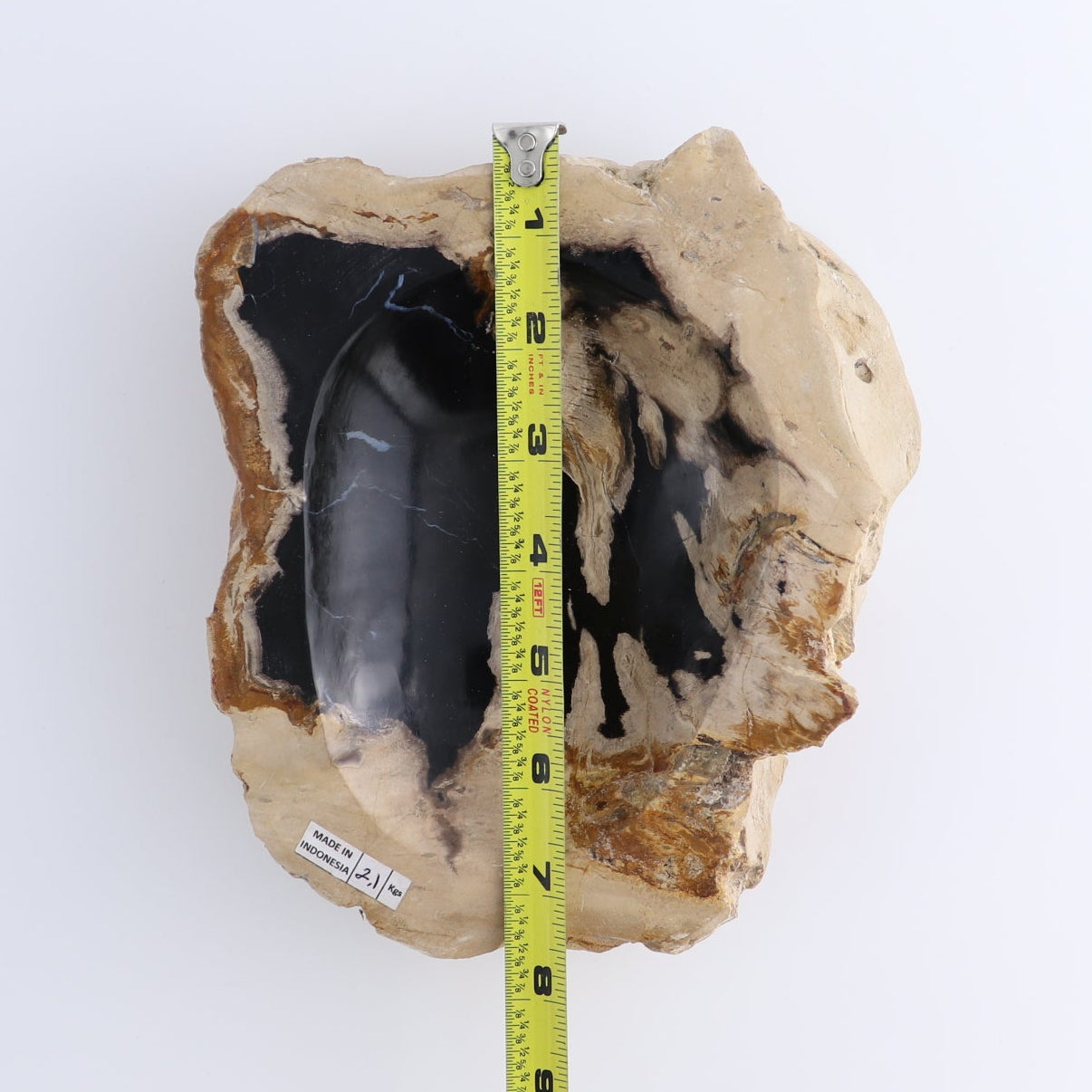 One Small Petrified Wood Brown & Black Rough Bowl