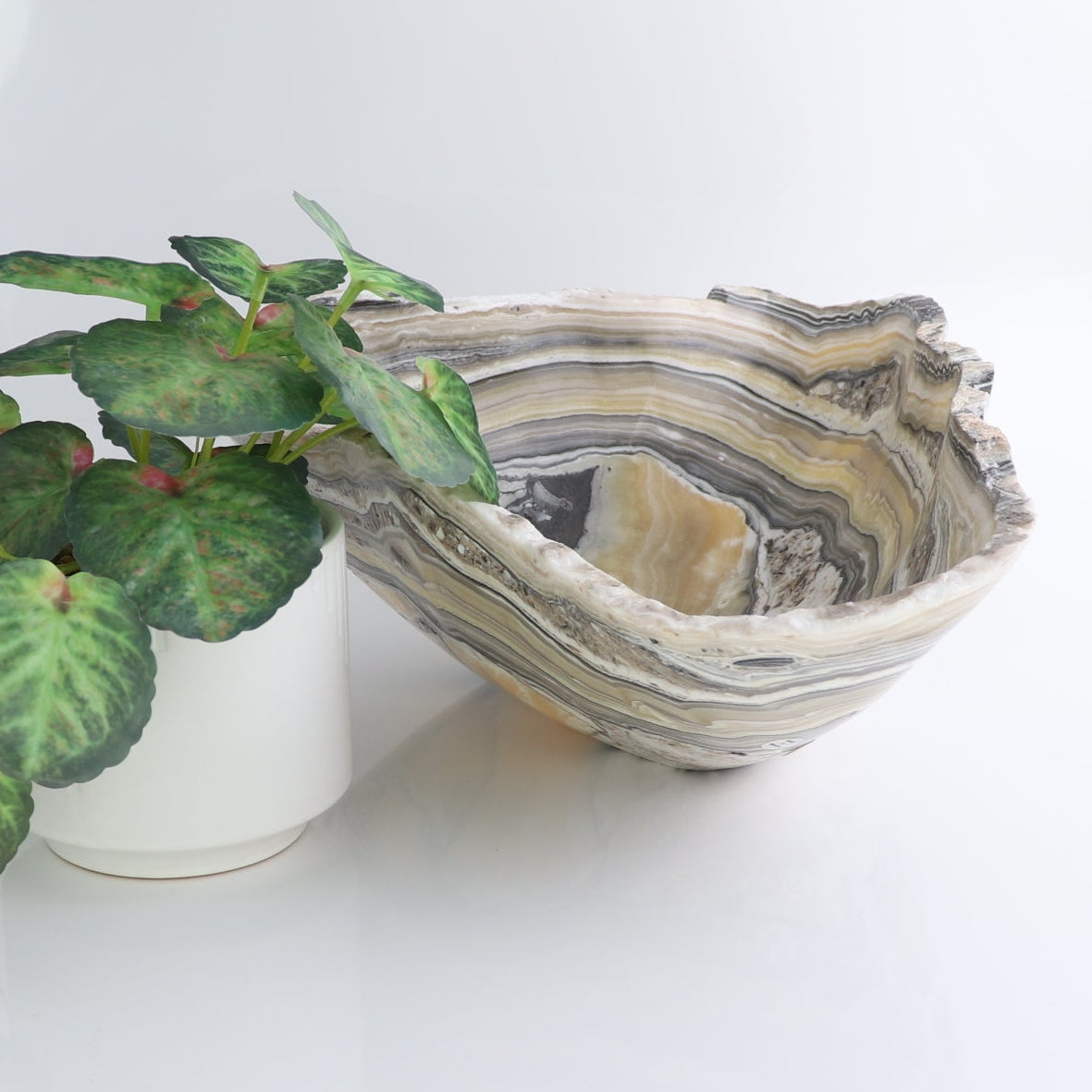 Mexican Onyx/Calcite Bowl 13"
