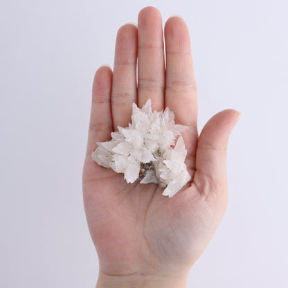 UV Reactive Calcite Flat Set of 24 - Expert Wholesale and Supplier of Wholesale Crystals & Bulk Gemstones, ["Calcite","Freeform","Freeforms","Mexico"]
