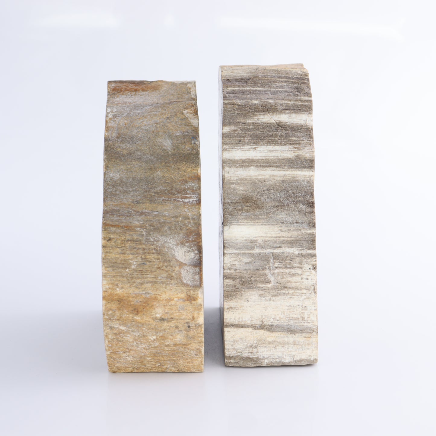 Bookends Petrified Wood - Expert Wholesale and Supplier of Wholesale Crystals & Bulk Gemstones, ["Bookends","Indonesia","Petrified Wood"]