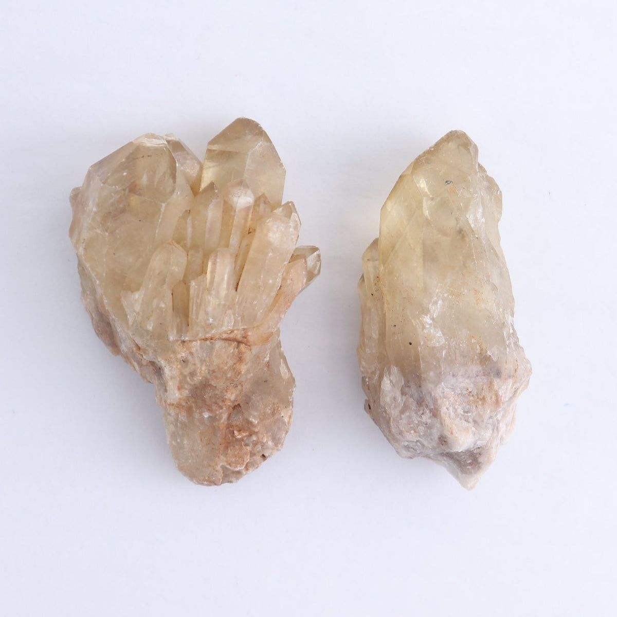 Congo Citrine Set of 12