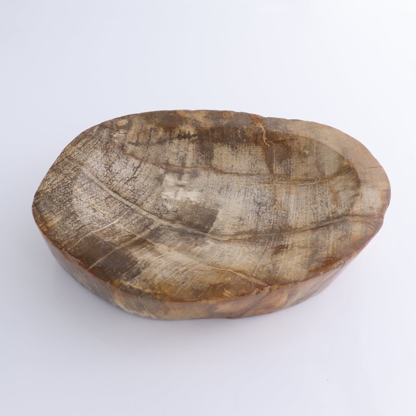 Bowl Petrified Wood - Expert Wholesale and Supplier of Wholesale Crystals & Bulk Gemstones, ["Bowls","Indonesia","Petrified Wood"]