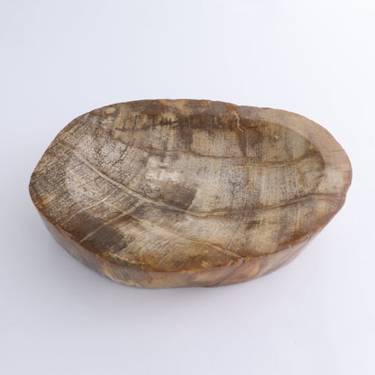 Bowl Petrified Wood - Expert Wholesale and Supplier of Wholesale Crystals & Bulk Gemstones, ["Bowls","Indonesia","Petrified Wood"]