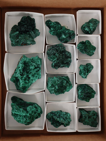 Malachite Flat - Expert Supplier of Wholesale Crystals & Bulk Gemstones