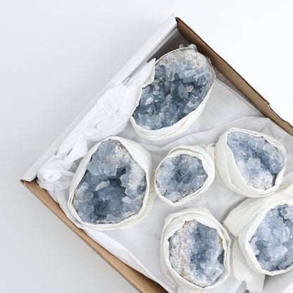Celestite Clusters Set of 6